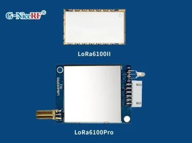 Unterschied zwischen dem Uart LoRa-Modul LoRa6100II und LoRa6100Pro