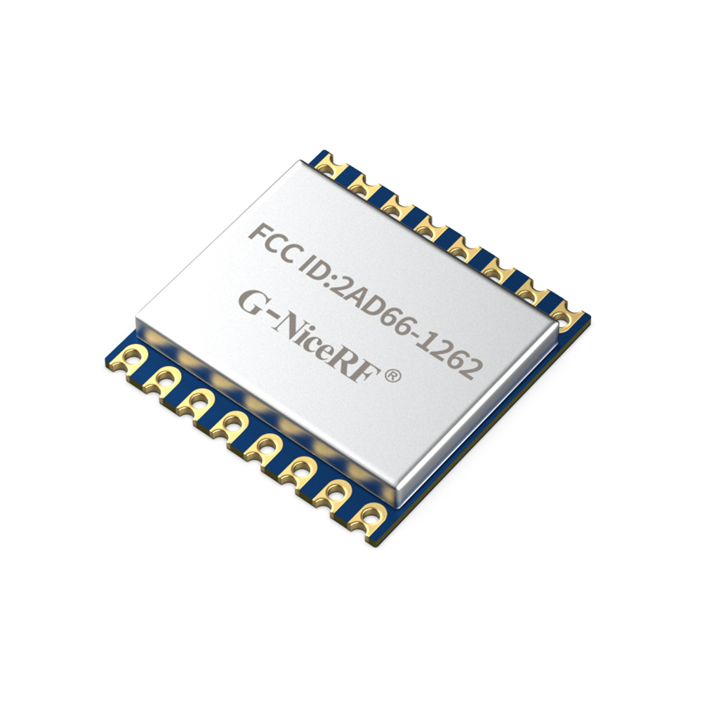 LoRa1262-915: FCC ID-zertifiziertes SX1262 915 MHz LoRa-Modul mit ESD-Schutz