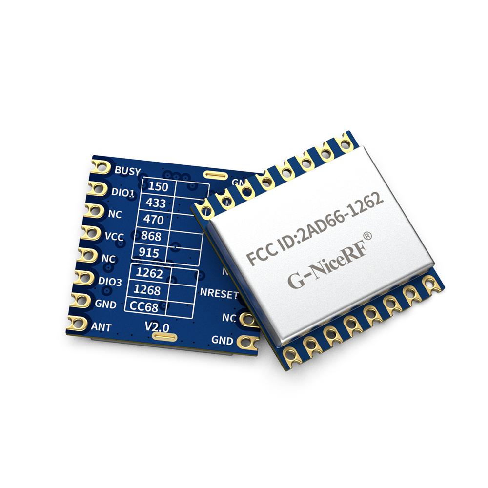 LoRa1262-915: FCC ID-zertifiziertes SX1262 915 MHz LoRa-Modul mit ESD-Schutz