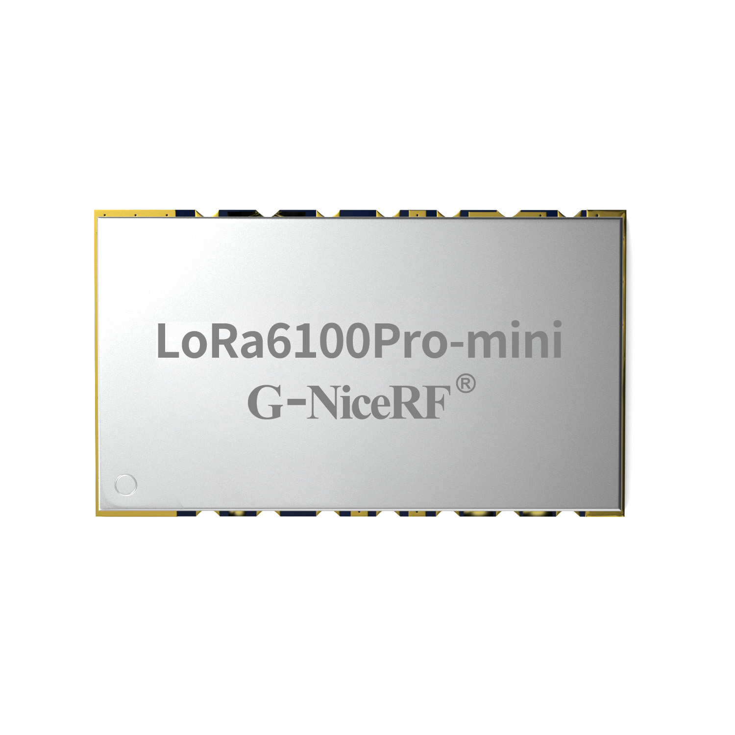 LoRa6100Pro-mini: 1W serielles drahtloses Netzwerkmodul